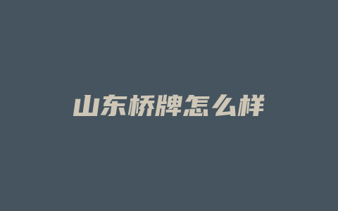 山东桥牌怎么样